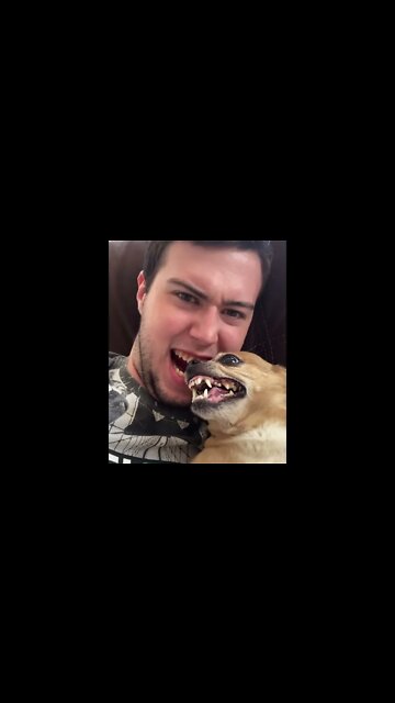 Самый Злой Пёсель в мире 2))) #shorts