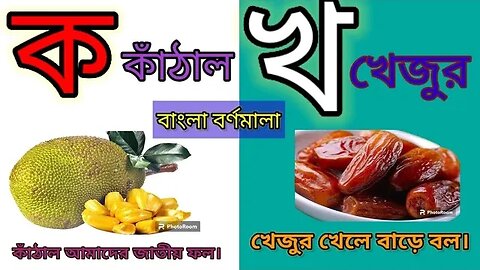 হাতে খড়ি।ক খ গ ঘ ব্যঞ্জনবর্ণ।Bangla Bornomala অ আ এ ঐ! Bangla Banjonborno ক খ গ! বাংলা বাক্য গঠন!