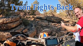 Tyson's Trail Fights Back 1-0