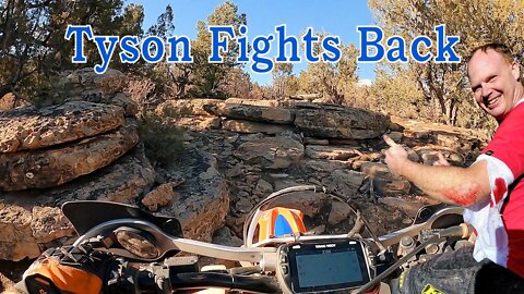 Tyson's Trail Fights Back 1-0