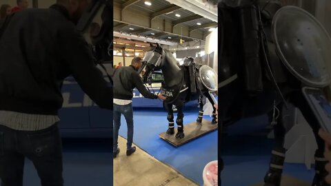 Horse or Lamborghini Police? #fieracavalliverona
