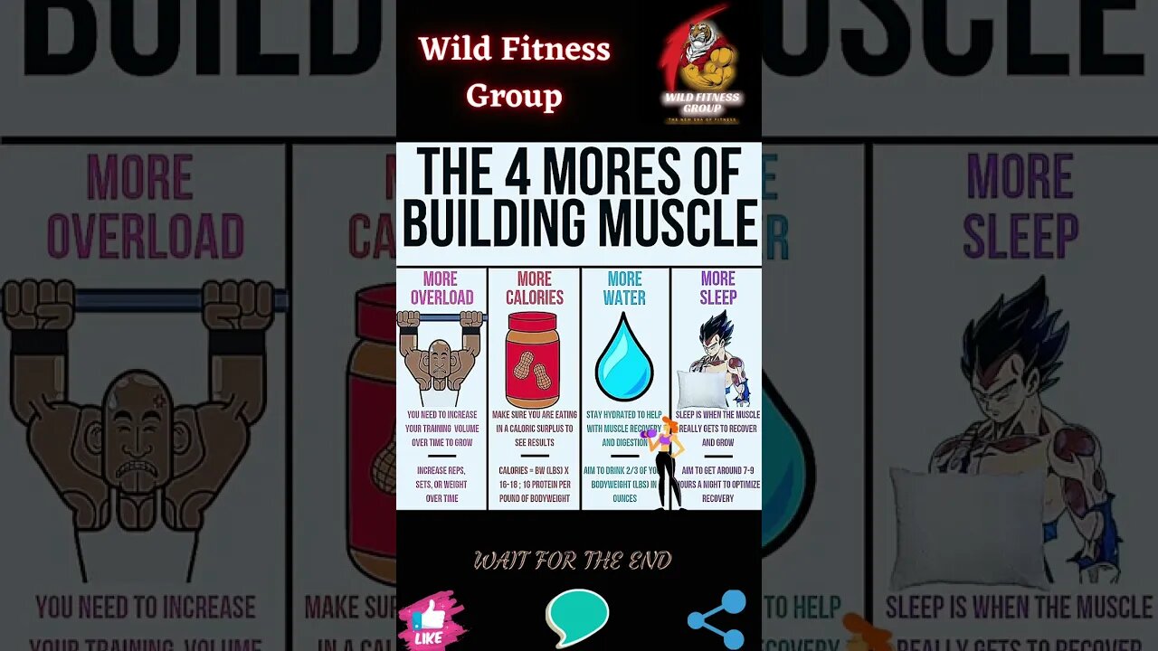 🔥The 4 mores of muscle building🔥#shorts🔥#wildfitnessgroup🔥25 February 2023🔥