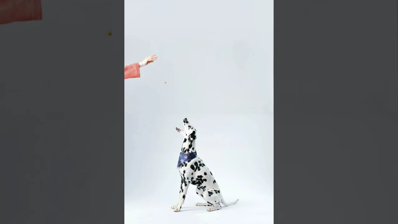 pexels kasuma 933498