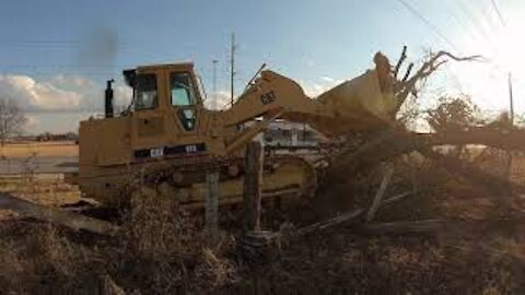 Cat 973 Tree Removal