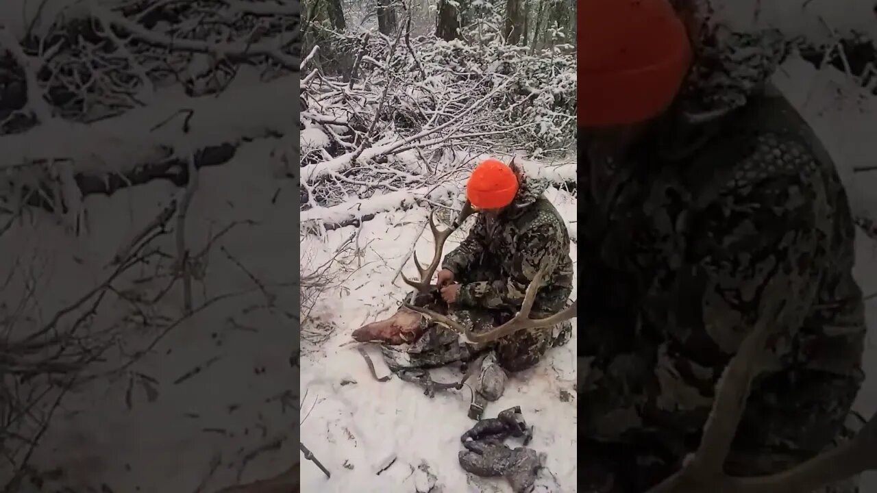 Elk Hunting Packout Fun!