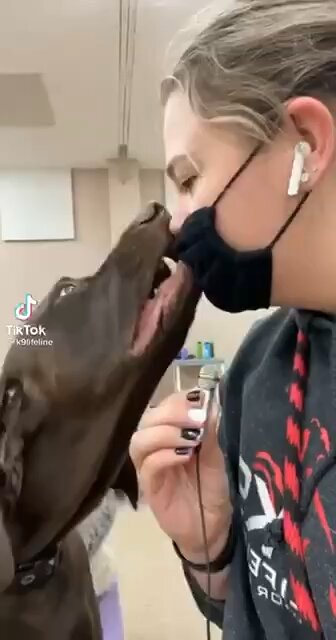 Dog rips muzzle off of human!
