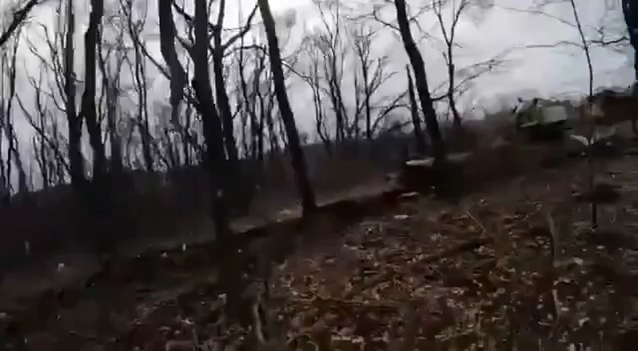 Russian special forces are clearing the forest of Ukrainian