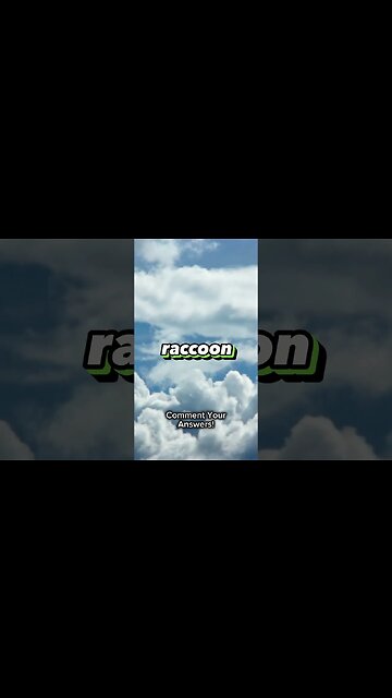 Caught a Racoon doing what? #whatif #funny #trending