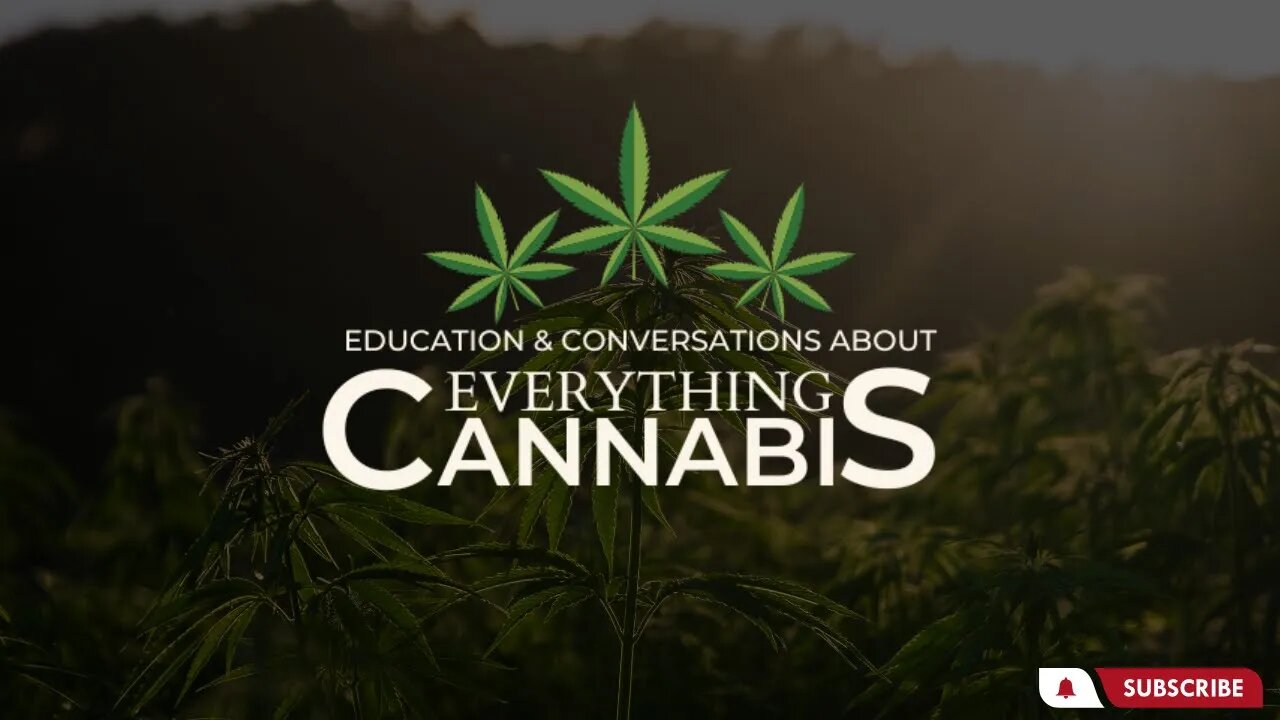 A Game of Puzzle: Everything Cannabis