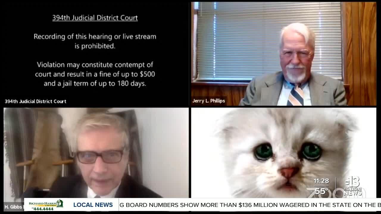 TRENDING | Texas lawyer shows up as cat on Zoom hearing