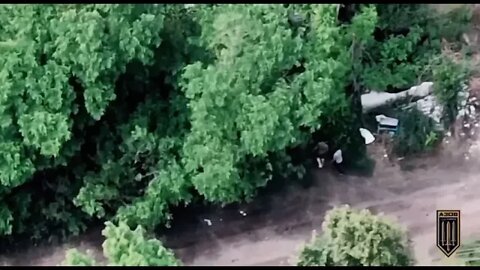 Ukrainian drones and artillery at work on the invaders￼