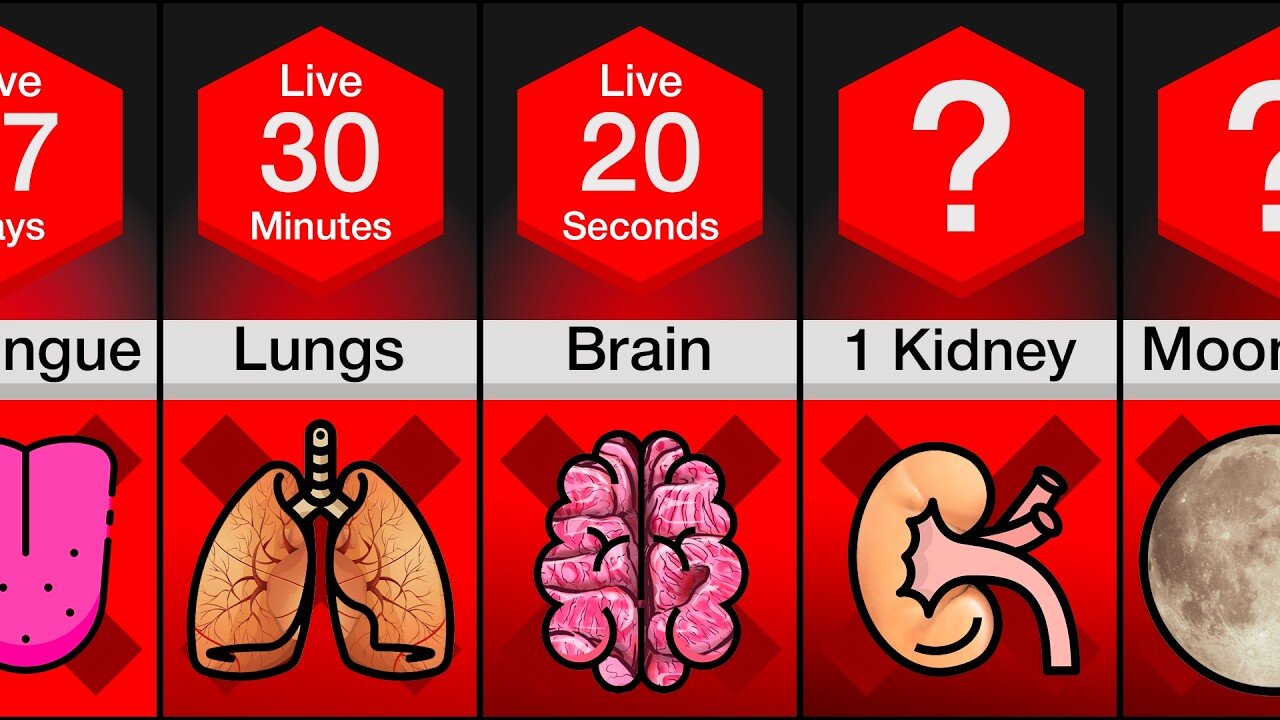 Comparison: Survival Time Without ___