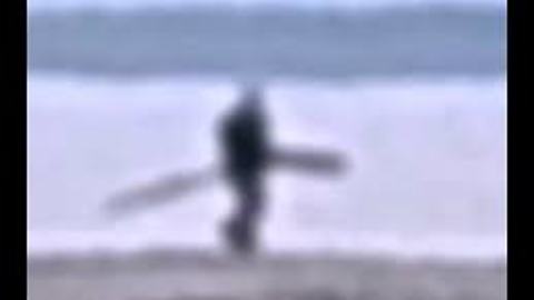 Bigfoot Observed Eating A Rotten Walrus, Hooper Bay Beach-July 04, 2014