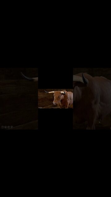 Baldurs Gate 3 :) OP OX