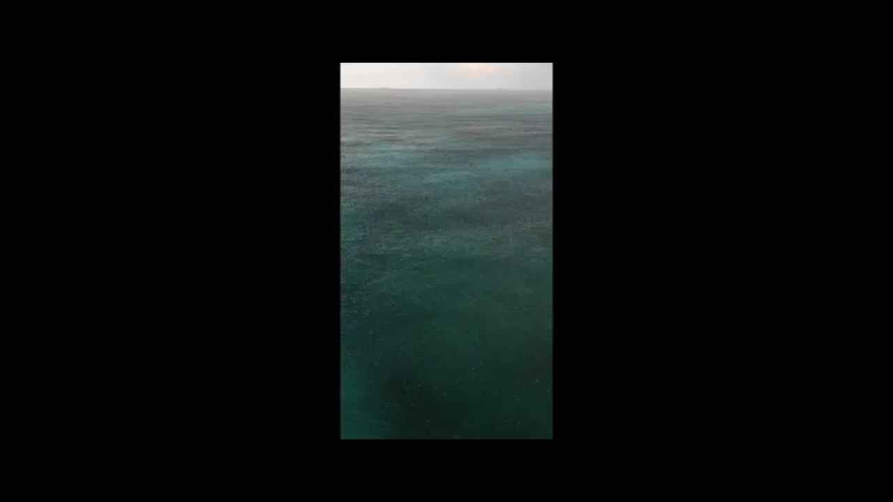 Sleep to Rain by the Ocean 🌧🌊 Rainstorm Sounds with