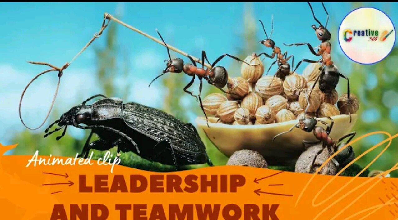 Teamwork and Leadership | Animated short clip | Creative 360 | #teamwork #leadership #motivation