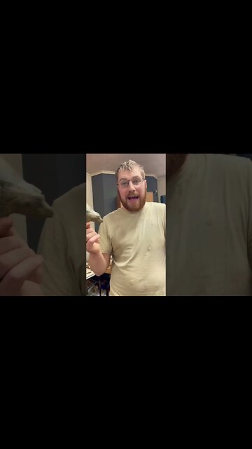 Science Started Here! #science #shark #fossil #viral #weird #weirdfacts