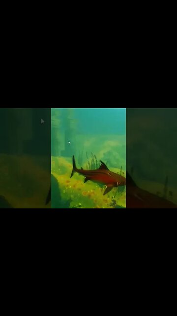 Barracuda for breakfast