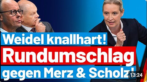 ALICE WEIDEL : Mit Friedrich Merz als „Ersatz-Scholz“ kommt Deutschland nicht voran.