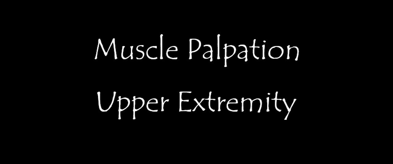 Muscle Palpation - Upper Extremity (Shoulder, Arm, Forearm, Hand)