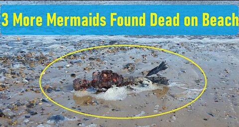 Mermaid Killing Spree: Who is Responsible?