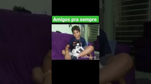 amigos pra sempre