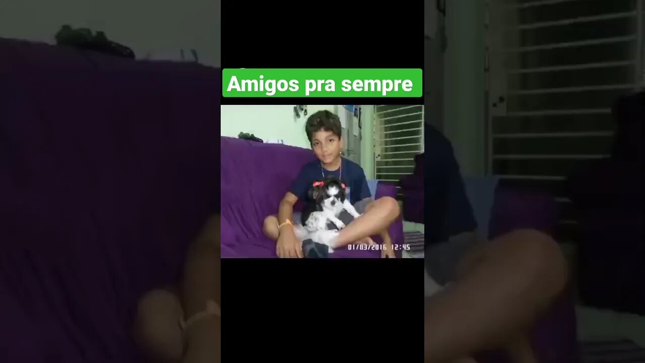 amigos pra sempre