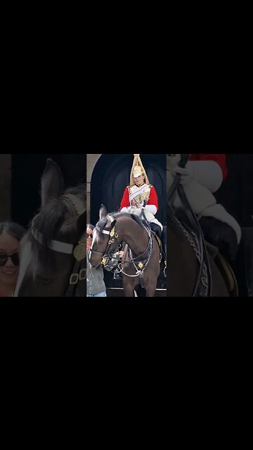 Don't hold the reins #horseguardsparade