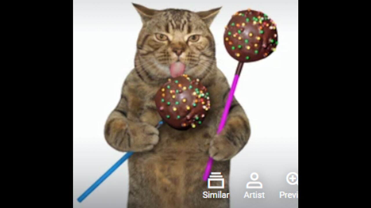 Never Feed Your Cat This! LAUGH YOUR HEAD OFF!!!
