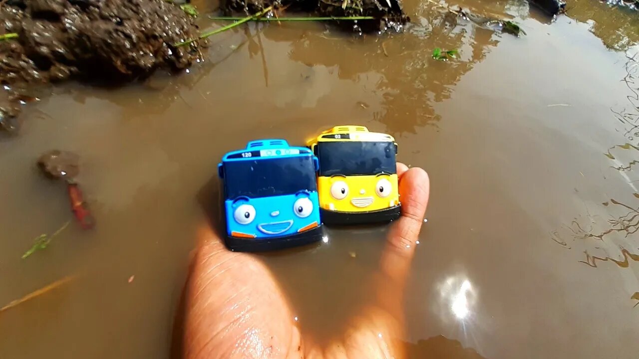 Mencari dan Menemukan Mainan Bus Tayo, Lani, Gani, Rogi dan Mainan Mobil Mobilan di Sawah Berlumpur