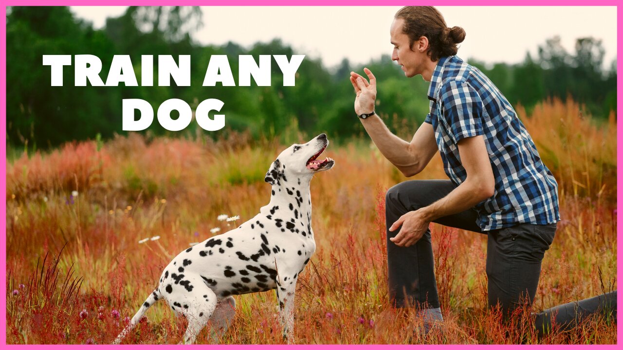 THE BIGGEST OVERLOOKED DOG TRAINING COMMAND!