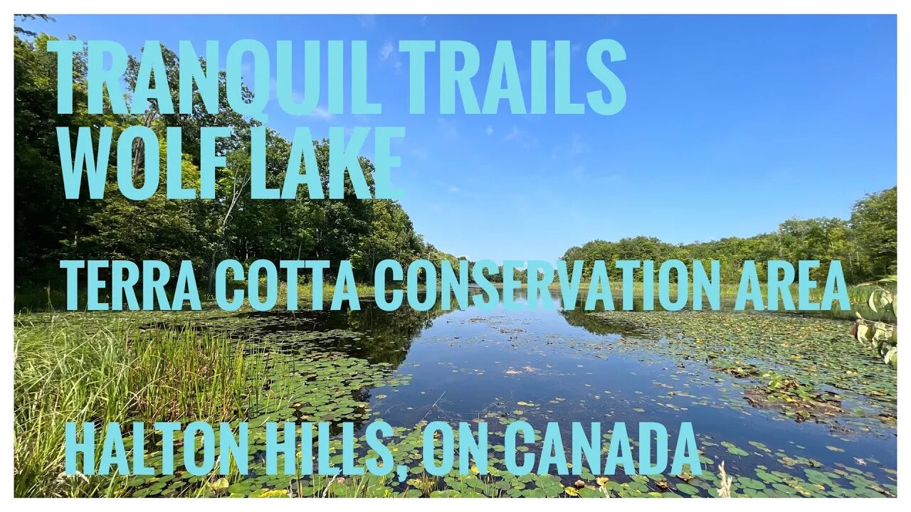 Serenity & Natural Beauty | Trails & Wolf Lake |Terra Cotta C.A.|Halton Hills, ON🇨🇦| Relive Hiking