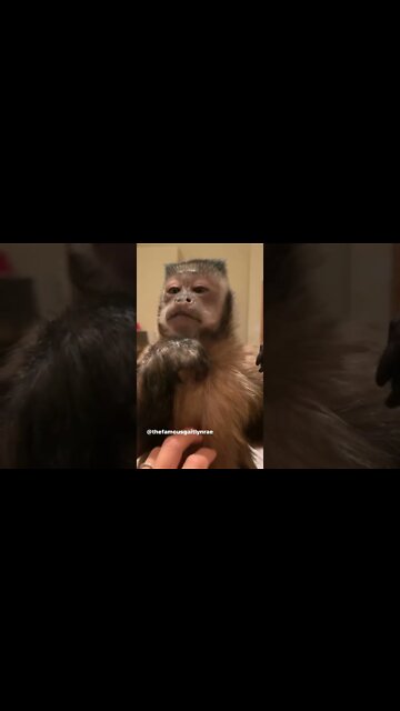 Night Night I’m going to the pumpkin patch in the morning Frands stay tuned!!!