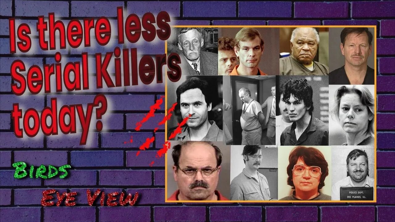 🔴 Why are there less Serial Killers in USA today? - Birds Eye View