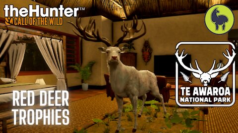 Red Deer Trophies on Te Awaroa! theHunter: Call of the Wild (PS5 4K)