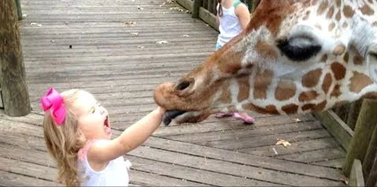 FORGET CATS! Funny KIDS vs ZOO ANIMALS