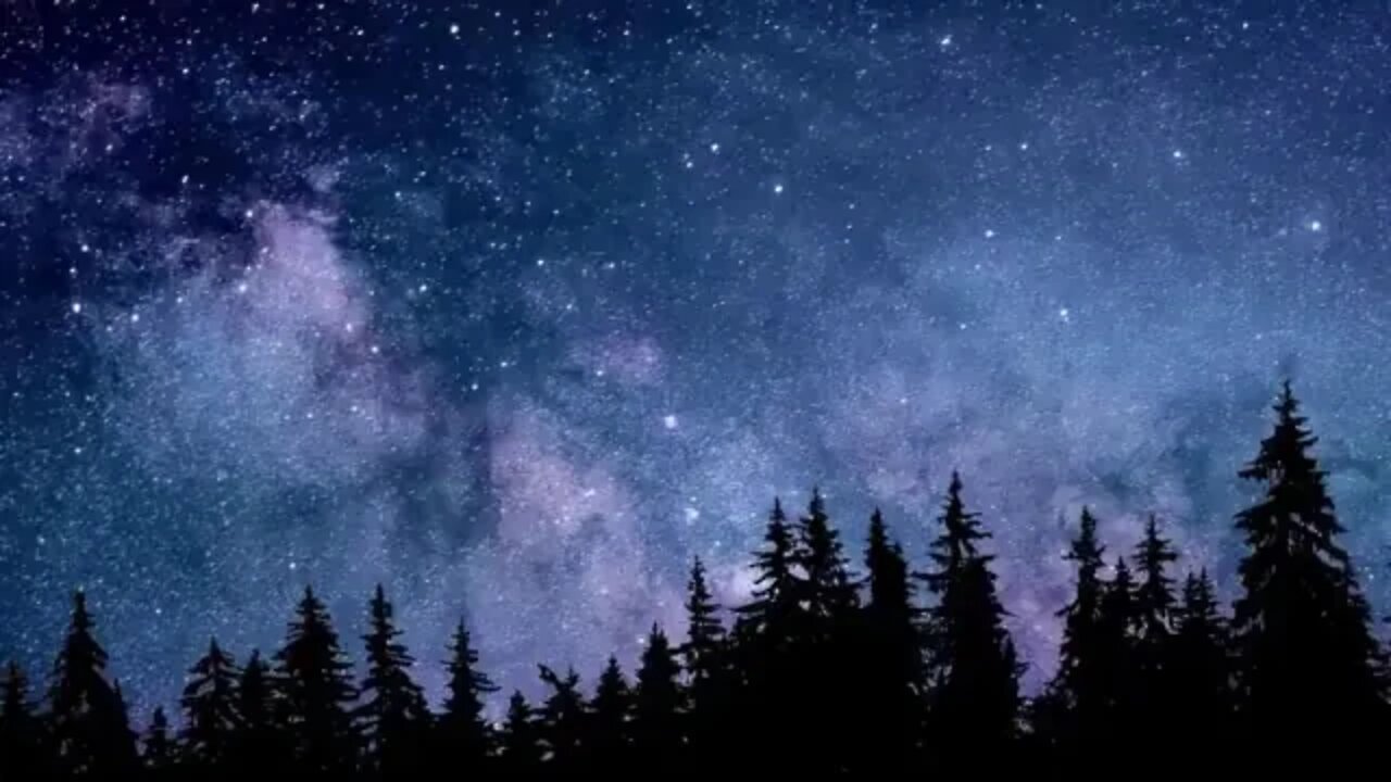 how to fall asleep in 10 minutes [relaxing sounds of the forest] #nature #relaxing #animals