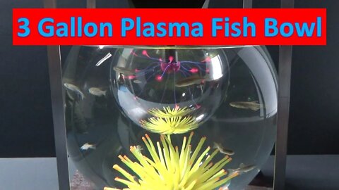 3 Gallon Fish Bowl Plasma