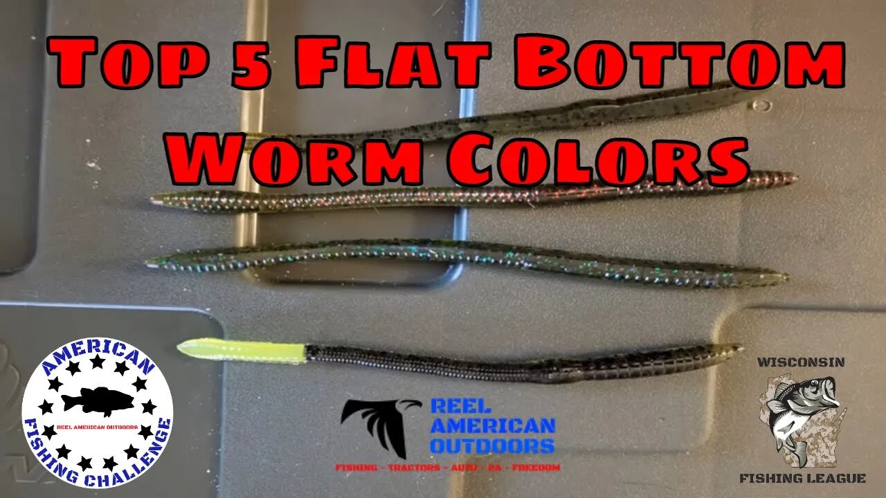 Top 5 Flat Bottom Worm Colors