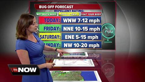 Geeking Out: Bug Off Forecast