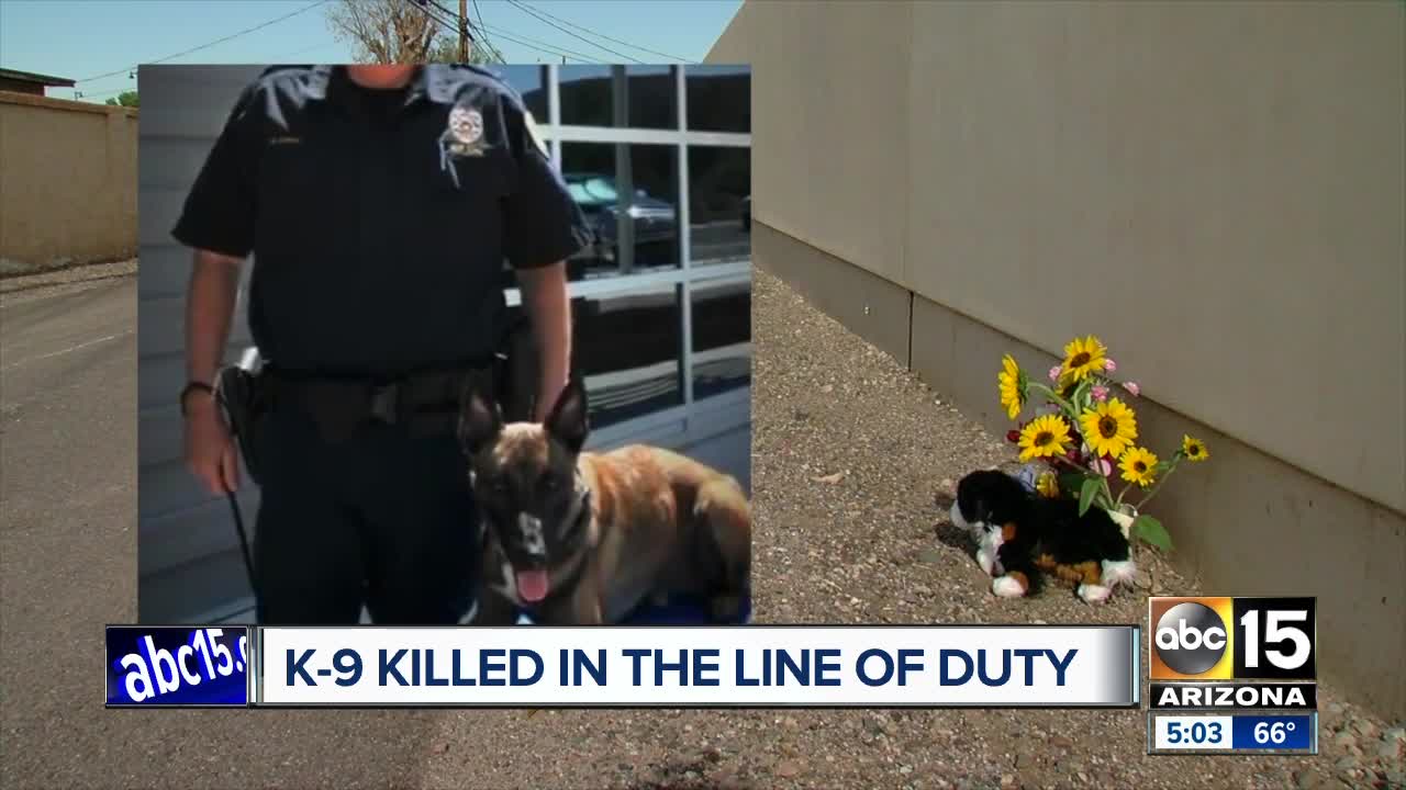 El Mirage police K-9 shot, killed by suspect during officer-involved shooting