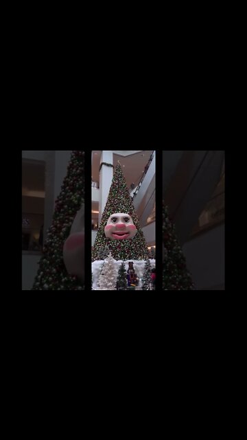 Woody the Talking Christmas Tree in Nova Scotia