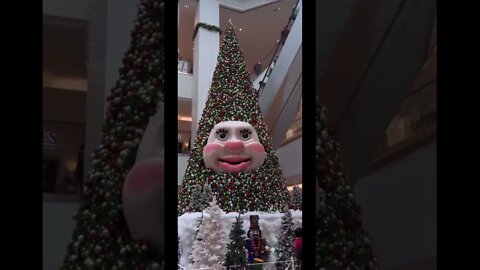 Woody the Talking Christmas Tree in Nova Scotia