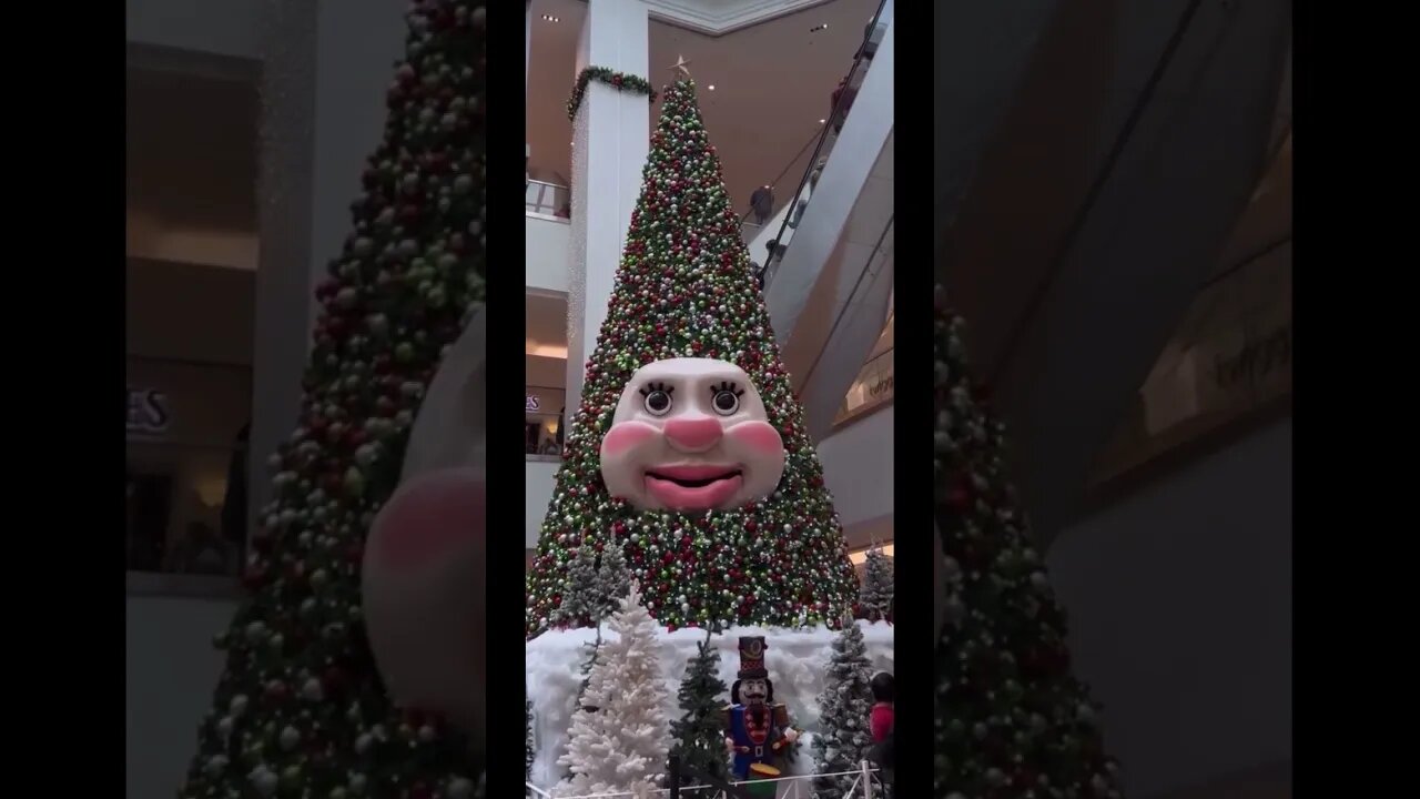 Woody the Talking Christmas Tree in Nova Scotia