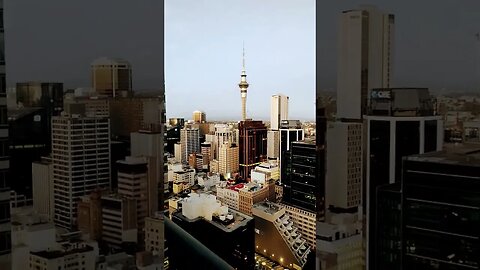 Auckland dawn