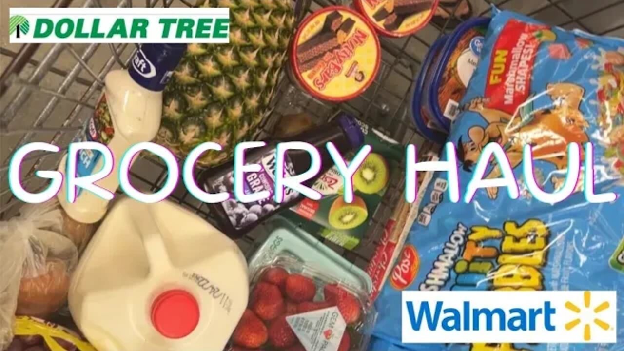 HAUL | lots of grocery shopping | melissajackson07