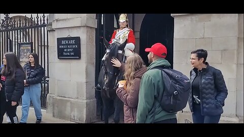 Don't touch the Reins please #horseguardsparade