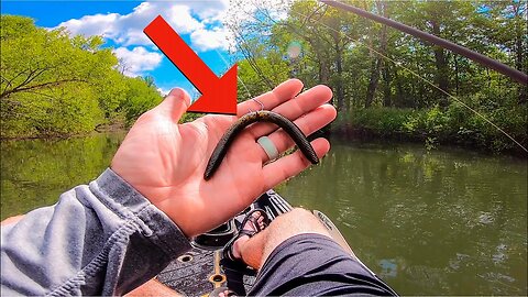 One Bait to CATCH MORE Post Spawn BASS -- SUPER SIMPLE