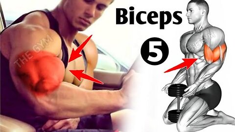 Biceps workout 💪 biceps exercises | S7S GYM