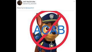 Calls grow to cancel popular kids show Paw Patrol because one of the characters is a police officer